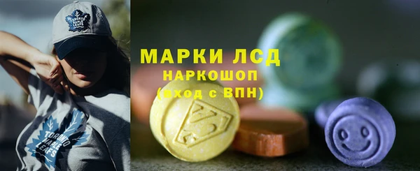 эйфоретик Инта