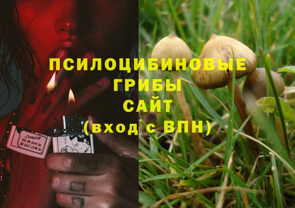 марки lsd Иннополис