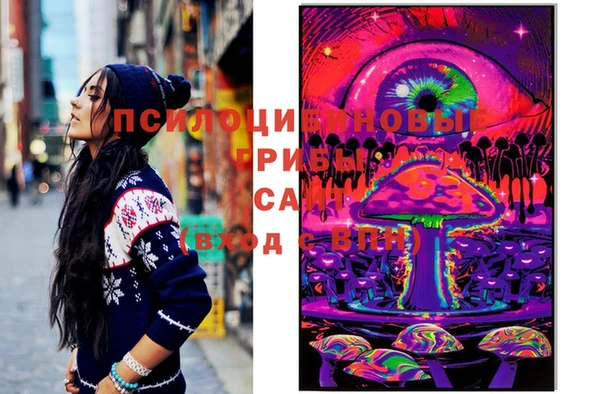 эйфоретик Инта