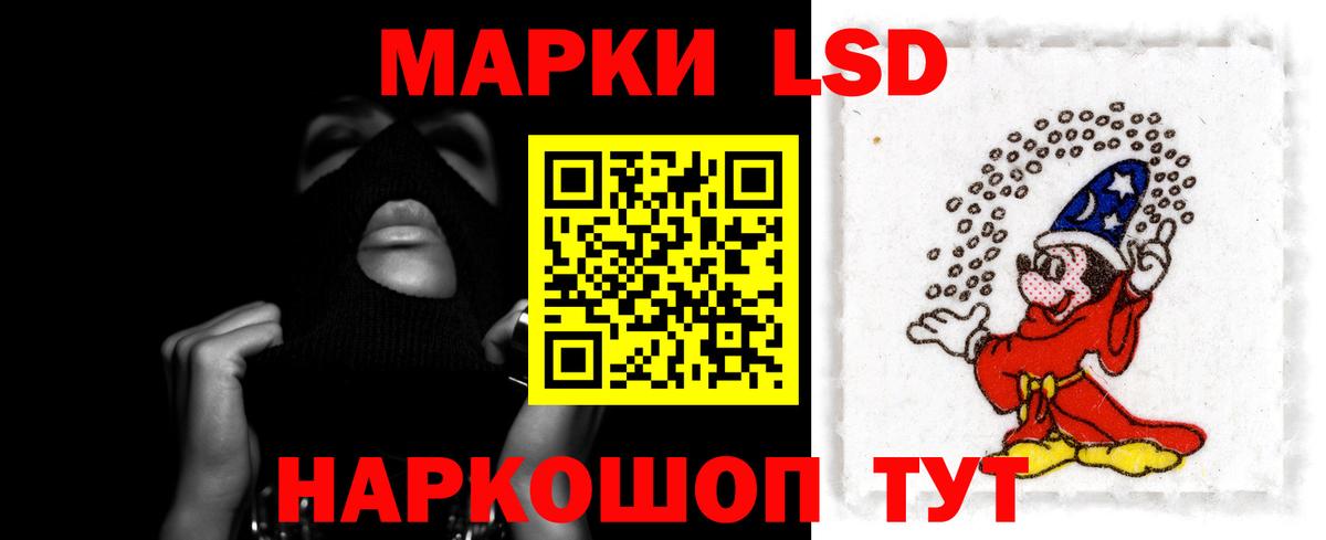 ЛСД экстази ecstasy  Вход с VPN  ЛСД экстази ecstasy  ЛСД экстази  Камышлов 