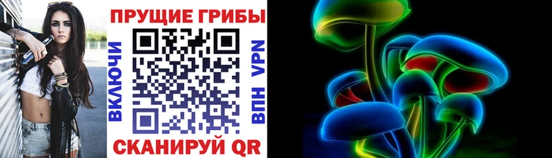 Галлюциногенные грибы MAGIC MUSHROOMS  Камышлов 