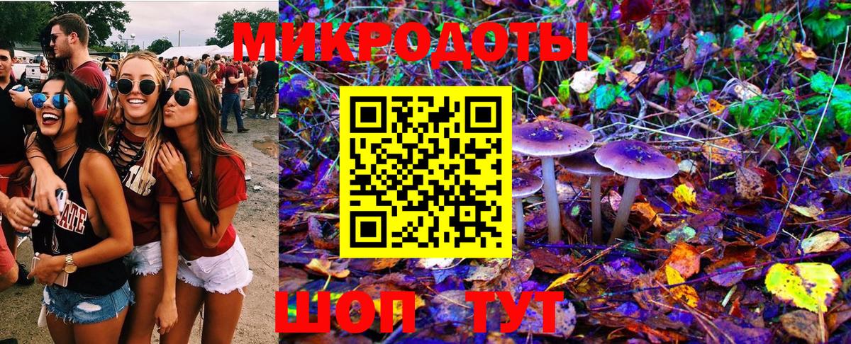 Галлюциногенные грибы GOLDEN TEACHER  Вход с VPN  Камышлов 
