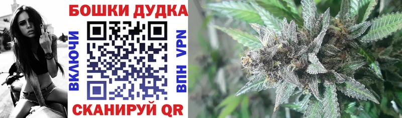 магазин продажи наркотиков  Камышлов  Бошки Шишки индика 