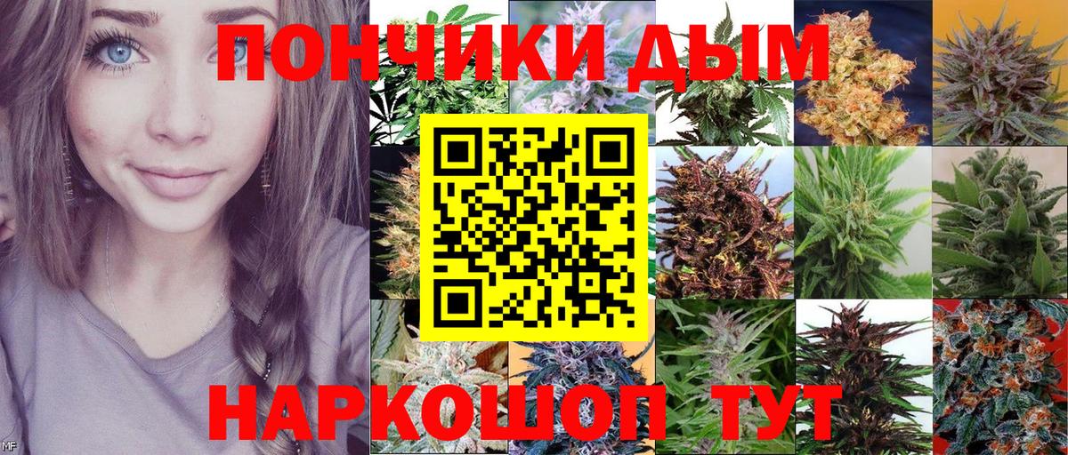 Конопля планчик  Шишки марихуана VHQ  Вход с VPN  Камышлов 